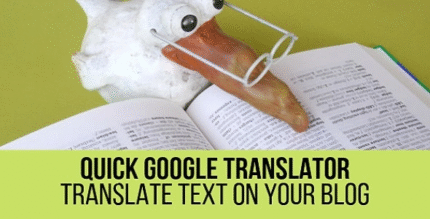 Quick Google Translator